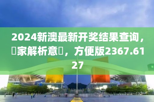 2024新澳最新开奖结果查询，專家解析意見，方便版2367.6127