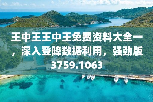 王中王王中王免费资料大全一，深入登降数据利用，强劲版3759.1063