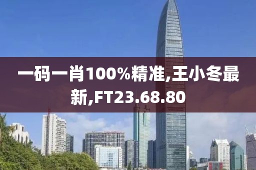 一码一肖100%精准,王小冬最新,FT23.68.80