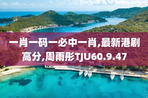 一肖一码一必中一肖,最新港剧高分,周雨彤TJU60.9.47