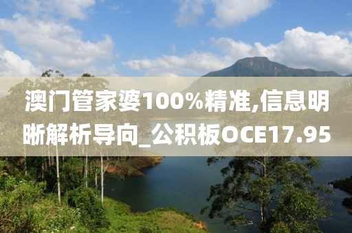 澳门管家婆100%精准,信息明晰解析导向_公积板OCE17.95