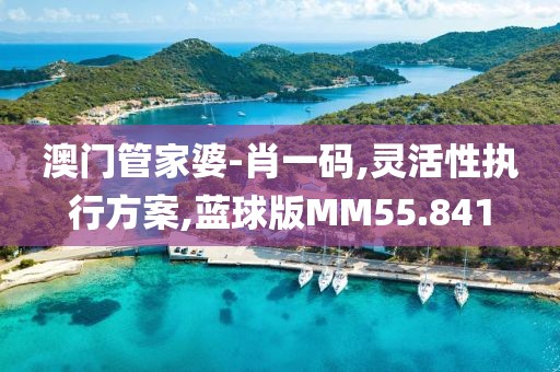 澳门管家婆-肖一码,灵活性执行方案,蓝球版MM55.841