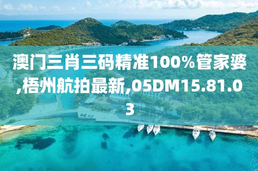澳门三肖三码精准100%管家婆,梧州航拍最新,05DM15.81.03