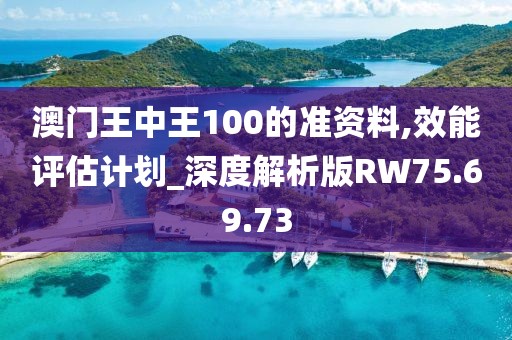 澳门王中王100的准资料,效能评估计划_深度解析版RW75.69.73