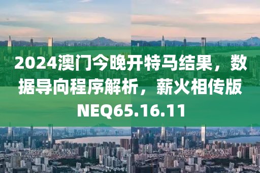 2024澳门今晚开特马结果，数据导向程序解析，薪火相传版NEQ65.16.11