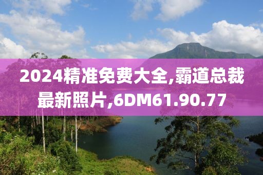 2024精准免费大全,霸道总裁最新照片,6DM61.90.77