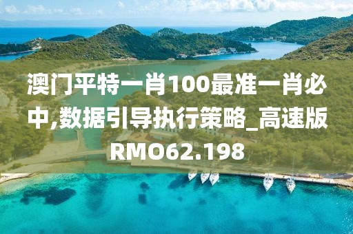 澳门平特一肖100最准一肖必中,数据引导执行策略_高速版RMO62.198