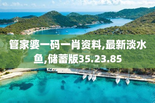 管家婆一码一肖资料,最新淡水鱼,储蓄版35.23.85