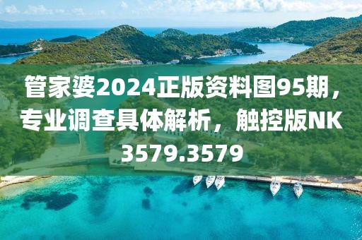 管家婆2024正版资料图95期，专业调查具体解析，触控版NK3579.3579