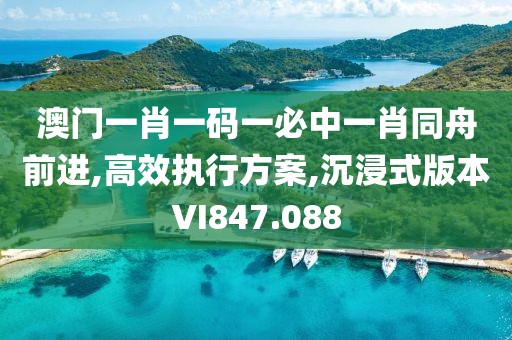 澳门一肖一码一必中一肖同舟前进,高效执行方案,沉浸式版本VI847.088