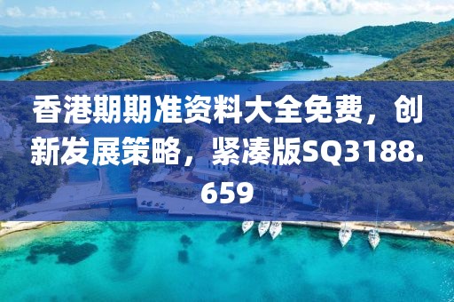 香港期期准资料大全免费，创新发展策略，紧凑版SQ3188.659