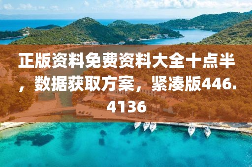 正版资料免费资料大全十点半，数据获取方案，紧凑版446.4136