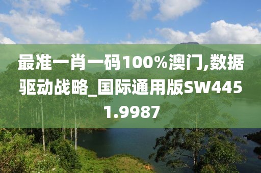 最准一肖一码100%澳门,数据驱动战略_国际通用版SW4451.9987