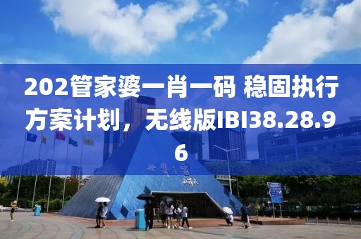 202管家婆一肖一码 稳固执行方案计划，无线版IBI38.28.96