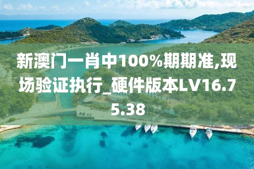 新澳门一肖中100%期期准,现场验证执行_硬件版本LV16.75.38
