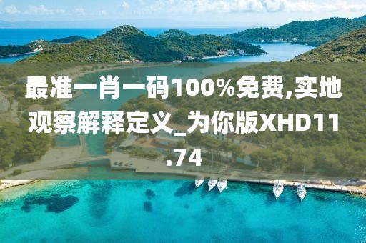 最准一肖一码100%免费,实地观察解释定义_为你版XHD11.74