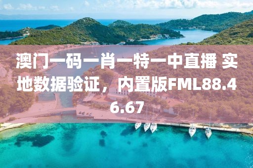 澳门一码一肖一特一中直播 实地数据验证，内置版FML88.46.67