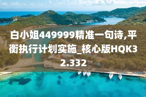 白小姐449999精准一句诗,平衡执行计划实施_核心版HQK32.332