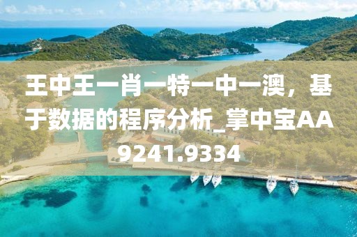王中王一肖一特一中一澳，基于数据的程序分析_掌中宝AA9241.9334