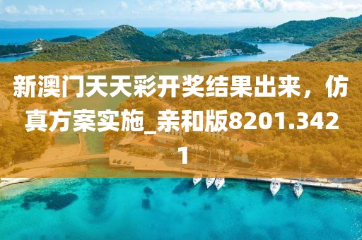 新澳门天天彩开奖结果出来，仿真方案实施_亲和版8201.3421