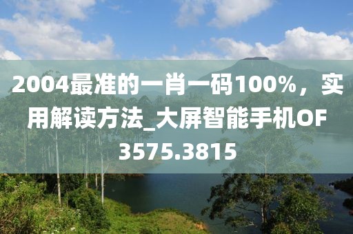 2004最准的一肖一码100%，实用解读方法_大屏智能手机OF3575.3815