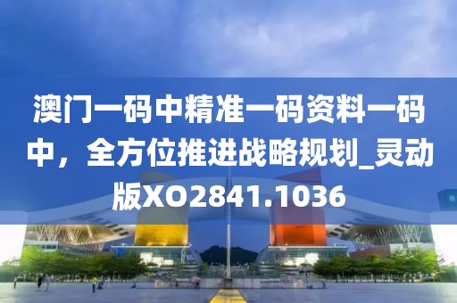 澳门一码中精准一码资料一码中，全方位推进战略规划_灵动版XO2841.1036