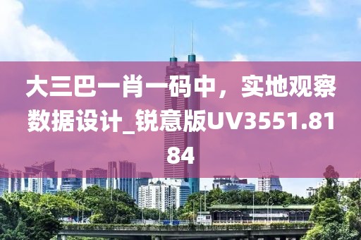 大三巴一肖一码中，实地观察数据设计_锐意版UV3551.8184