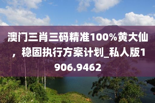 澳门三肖三码精准100%黄大仙，稳固执行方案计划_私人版1906.9462