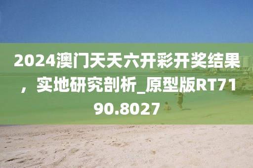 2024澳门天天六开彩开奖结果，实地研究剖析_原型版RT7190.8027