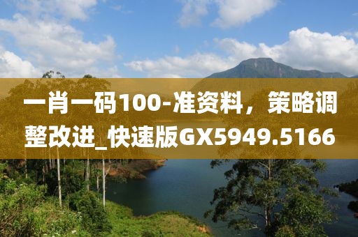 一肖一码100-准资料，策略调整改进_快速版GX5949.5166