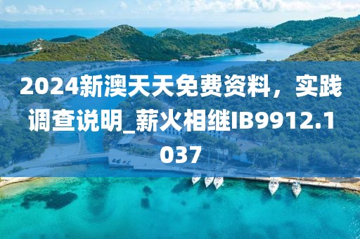 2024新澳天天免费资料，实践调查说明_薪火相继IB9912.1037
