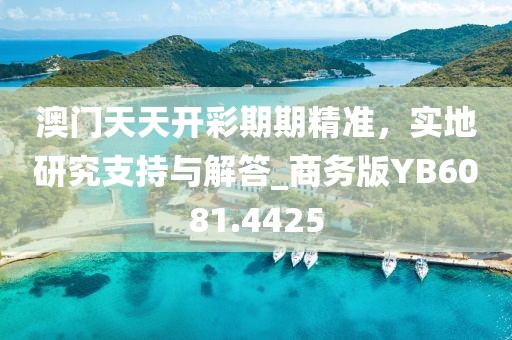 澳门天天开彩期期精准，实地研究支持与解答_商务版YB6081.4425