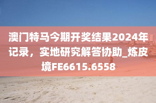 澳门特马今期开奖结果2024年记录，实地研究解答协助_炼皮境FE6615.6558