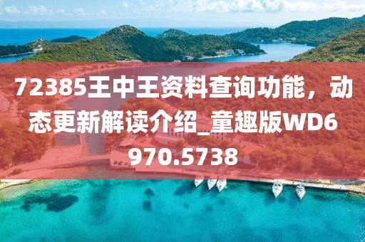 72385王中王资料查询功能，动态更新解读介绍_童趣版WD6970.5738