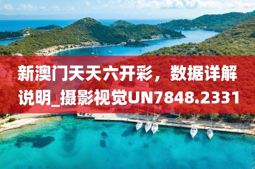 新澳门天天六开彩，数据详解说明_摄影视觉UN7848.2331