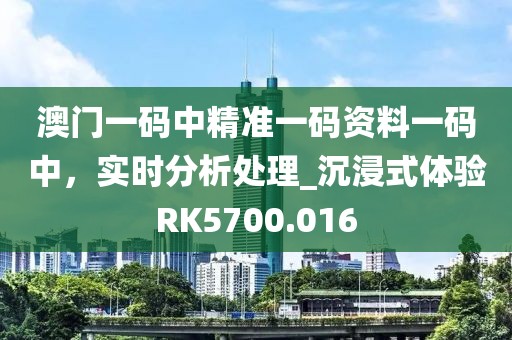 澳门一码中精准一码资料一码中，实时分析处理_沉浸式体验RK5700.016