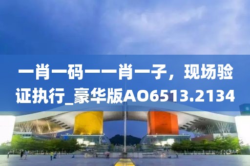 一肖一码一一肖一子，现场验证执行_豪华版AO6513.2134