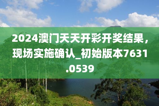 2024澳门天天开彩开奖结果，现场实施确认_初始版本7631.0539