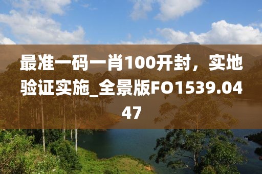 最准一码一肖100开封，实地验证实施_全景版FO1539.0447