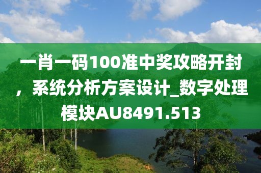 一肖一码100准中奖攻略开封，系统分析方案设计_数字处理模块AU8491.513