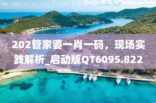 202管家婆一肖一码，现场实践解析_启动版QT6095.822