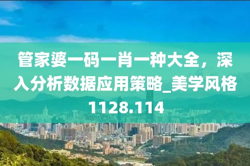 管家婆一码一肖一种大全，深入分析数据应用策略_美学风格1128.114
