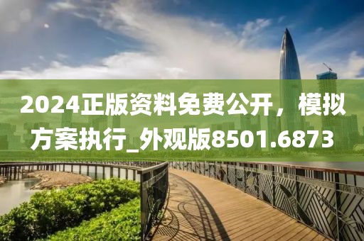2024正版资料免费公开，模拟方案执行_外观版8501.6873