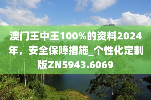 澳门王中王100%的资料2024年，安全保障措施_个性化定制版ZN5943.6069