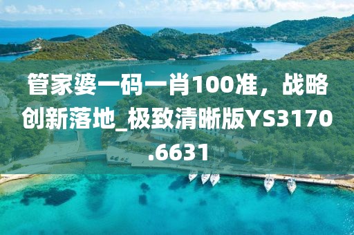 管家婆一码一肖100准，战略创新落地_极致清晰版YS3170.6631