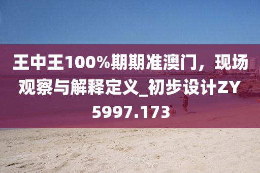 王中王100%期期准澳门，现场观察与解释定义_初步设计ZY5997.173