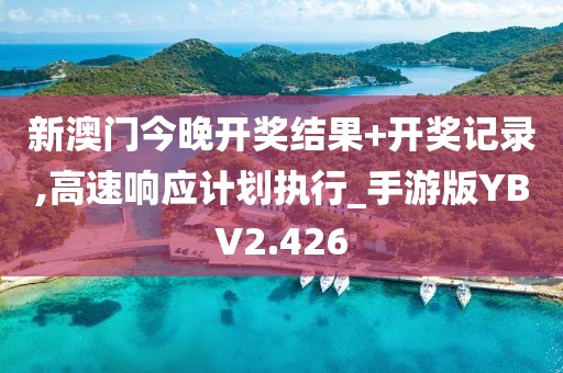 新澳门今晚开奖结果+开奖记录,高速响应计划执行_手游版YBV2.426