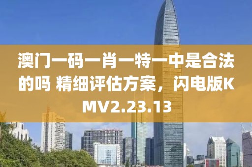 澳门一码一肖一特一中是合法的吗 精细评估方案，闪电版KMV2.23.13