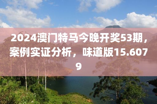 2024澳门特马今晚开奖53期，案例实证分析，味道版15.6079