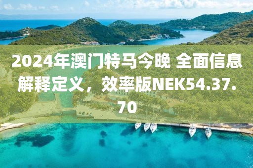 2024年澳门特马今晚 全面信息解释定义，效率版NEK54.37.70
